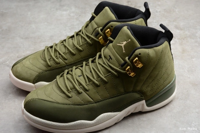 Kicktheory Paul Chris 130690-301 2003 Jordan Air 12 Class of 0715